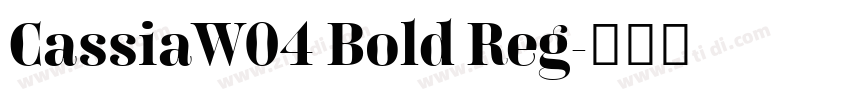 CassiaW04 Bold Reg字体转换